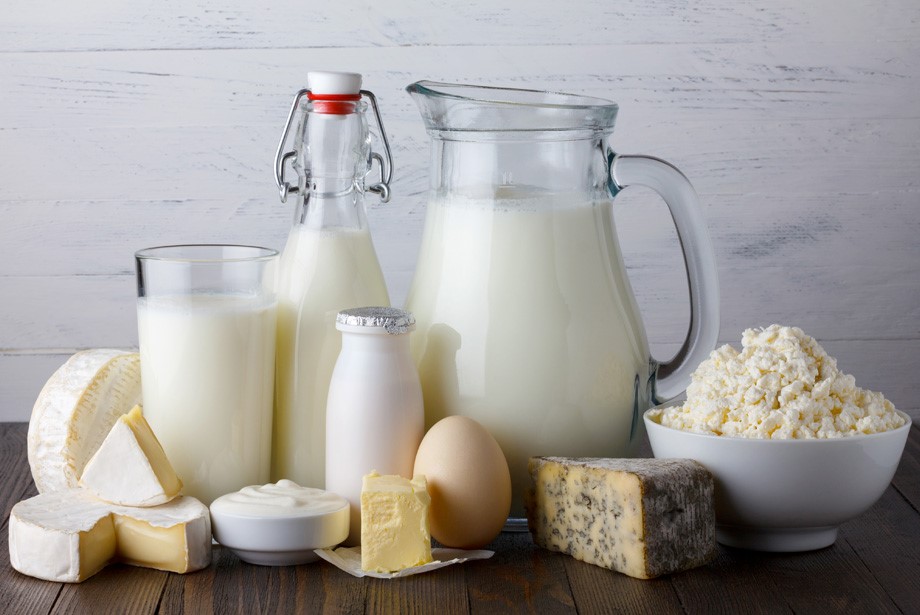 DAIRY STORAGE - TITAN Containers