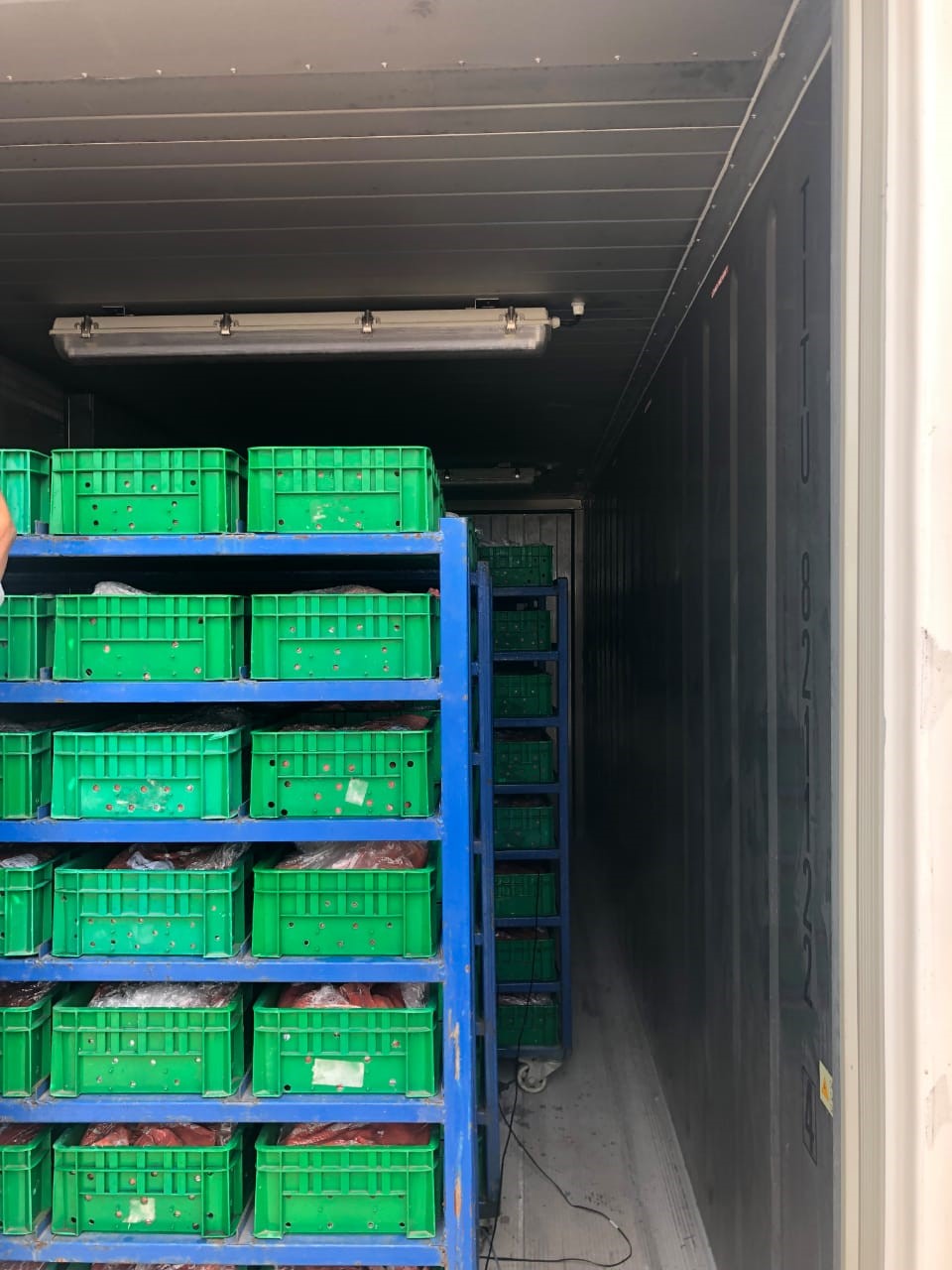 PILOT PROJECT 20FT ARCTICBLAST BLAST FREEZER2
