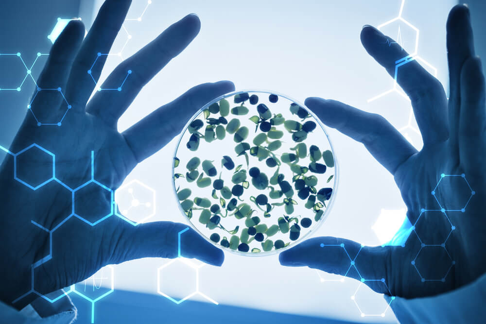 Science graphic against researcher hands holding sprouts in petri dish